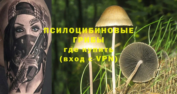 молекула духа Алексеевка