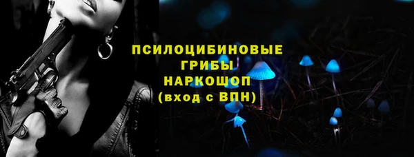 хмурый Алексин