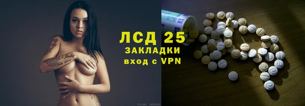 хмурый Алексин