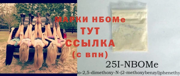хмурый Алексин