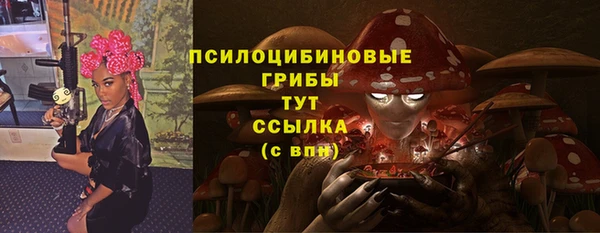 молекула духа Алексеевка