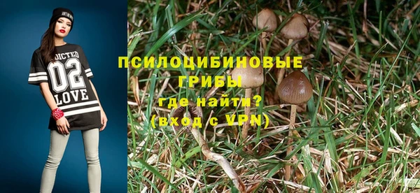 каннабис Алзамай