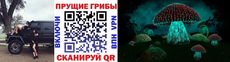 Галлюциногенные грибы ЛСД  даркнет как зайти  Камешково  купить наркотики цена 