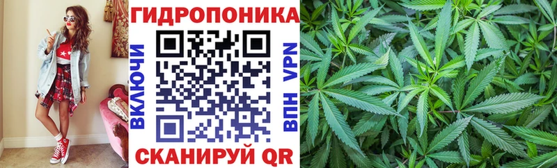 Конопля ГИДРОПОН Камешково